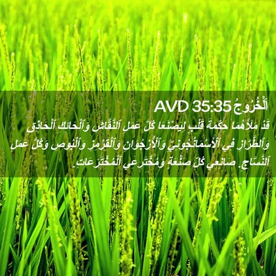 Picture 02 - اَلْخُرُوجُ 35:35 AVD - قَدْ مَلَأَهُمَا حِكْمَةَ - Bible Verse Picture