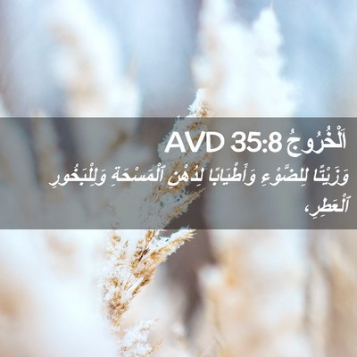 Picture 02 - اَلْخُرُوجُ 35:8 AVD - وَزَيْتًا لِلضَّوْءِ - Bible Verse Picture