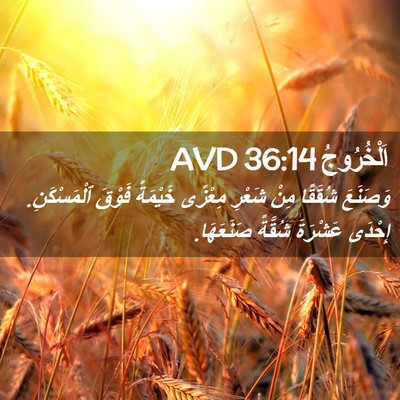 Picture 02 - اَلْخُرُوجُ 36:14 AVD - وَصَنَعَ شُقَقًا مِنْ - Bible Verse Picture