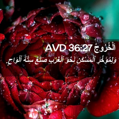 Picture 02 - اَلْخُرُوجُ 36:27 AVD - وَلِمُؤَخَّرِ ٱلْمَسْكَنِ - Bible Verse Picture