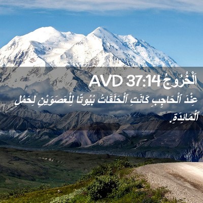 Picture 02 - اَلْخُرُوجُ 37:14 AVD - عِنْدَ ٱلْحَاجِبِ كَانَتِ - Bible Verse Picture