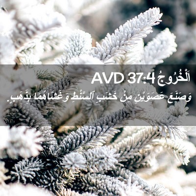 Picture 02 - اَلْخُرُوجُ 37:4 AVD - وَصَنَعَ عَصَوَيْنِ مِنْ - Bible Verse Picture