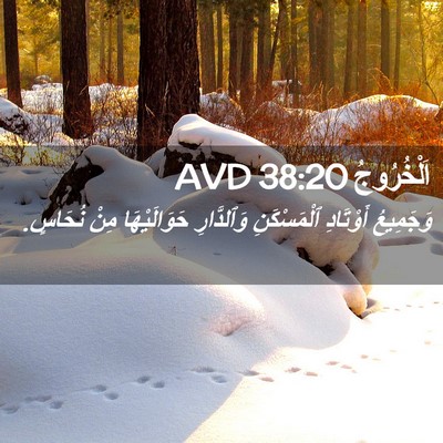 Picture 02 - اَلْخُرُوجُ 38:20 AVD - وَجَمِيعُ أَوْتَادِ - Bible Verse Picture