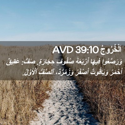 Picture 02 - اَلْخُرُوجُ 39:10 AVD - وَرَصَّعُوا فِيهَا - Bible Verse Picture