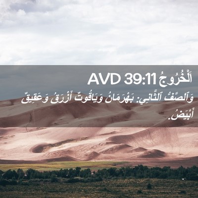 Picture 02 - اَلْخُرُوجُ 39:11 AVD - وَٱلصَّفُّ ٱلثَّانِي: - Bible Verse Picture