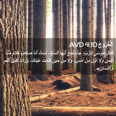 Picture 02 - اَلْخُرُوجُ 4:10 AVD - فَقَالَ مُوسَى لِلرَّبِّ: - Bible Verse Picture