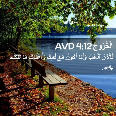 Picture 02 - اَلْخُرُوجُ 4:12 AVD - فَٱلْآنَ ٱذْهَبْ وَأَنَا - Bible Verse Picture