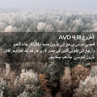 Picture 02 - اَلْخُرُوجُ 4:18 AVD - فَمَضَى مُوسَى وَرَجَعَ - Bible Verse Picture