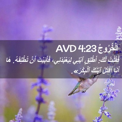 Picture 02 - اَلْخُرُوجُ 4:23 AVD - فَقُلْتُ لَكَ: أَطْلِقِ - Bible Verse Picture