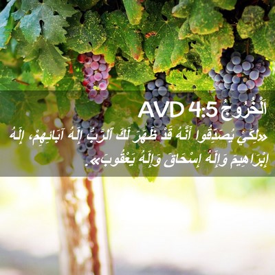 Picture 02 - اَلْخُرُوجُ 4:5 AVD - «لِكَيْ يُصَدِّقُوا - Bible Verse Picture