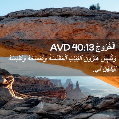 Picture 02 - اَلْخُرُوجُ 40:13 AVD - وَتُلْبِسُ هَارُونَ - Bible Verse Picture