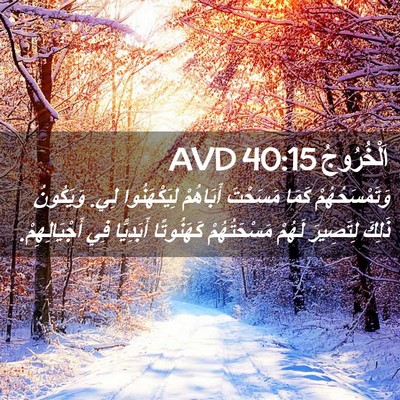 Picture 02 - اَلْخُرُوجُ 40:15 AVD - وَتَمْسَحُهُمْ كَمَا - Bible Verse Picture