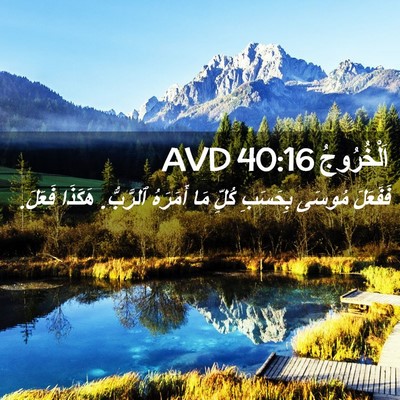 Picture 02 - اَلْخُرُوجُ 40:16 AVD - فَفَعَلَ مُوسَى بِحَسَبِ - Bible Verse Picture
