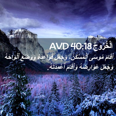 Picture 02 - اَلْخُرُوجُ 40:18 AVD - أَقَامَ مُوسَى - Bible Verse Picture