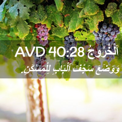 Picture 02 - اَلْخُرُوجُ 40:28 AVD - وَوَضَعَ سَجْفَ ٱلْبَابِ - Bible Verse Picture