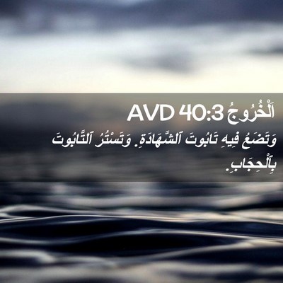 Picture 02 - اَلْخُرُوجُ 40:3 AVD - وَتَضَعُ فِيهِ تَابُوتَ - Bible Verse Picture