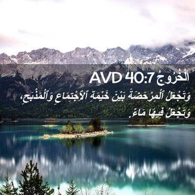 Picture 02 - اَلْخُرُوجُ 40:7 AVD - وَتَجْعَلُ ٱلْمِرْحَضَةَ - Bible Verse Picture