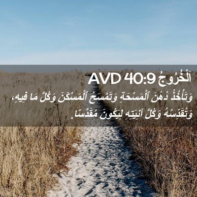Picture 02 - اَلْخُرُوجُ 40:9 AVD - وَتَأْخُذُ دُهْنَ - Bible Verse Picture