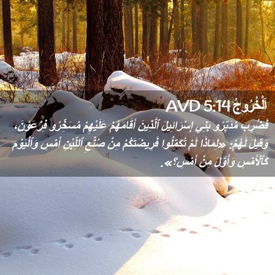 Picture 02 - اَلْخُرُوجُ 5:14 AVD - فَضُرِبَ مُدَبِّرُو بَنِي - Bible Verse Picture