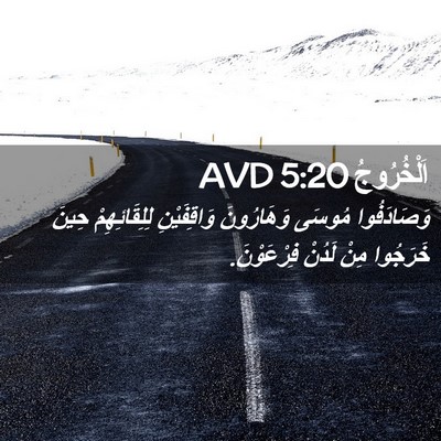 Picture 02 - اَلْخُرُوجُ 5:20 AVD - وَصَادَفُوا مُوسَى - Bible Verse Picture
