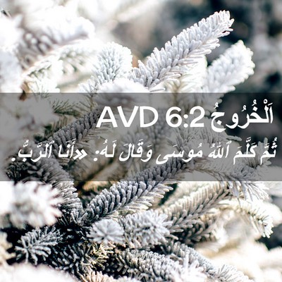 Picture 02 - اَلْخُرُوجُ 6:2 AVD - ثُمَّ كَلَّمَ ٱللهُ مُوسَى - Bible Verse Picture