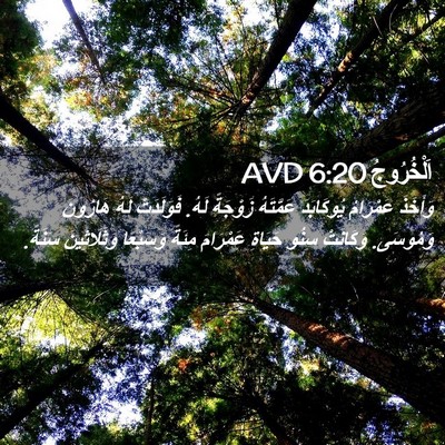 Picture 02 - اَلْخُرُوجُ 6:20 AVD - وَأَخَذَ عَمْرَامُ - Bible Verse Picture