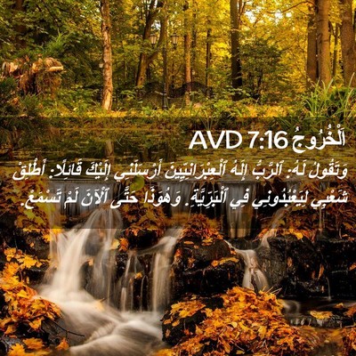 Picture 02 - اَلْخُرُوجُ 7:16 AVD - وَتَقُولُ لَهُ: ٱلرَّبُّ - Bible Verse Picture
