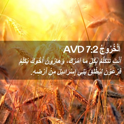 Picture 02 - اَلْخُرُوجُ 7:2 AVD - أَنْتَ تَتَكَلَّمُ - Bible Verse Picture