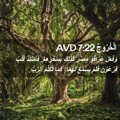 Picture 02 - اَلْخُرُوجُ 7:22 AVD - وَفَعَلَ عَرَّافُو مِصْرَ - Bible Verse Picture
