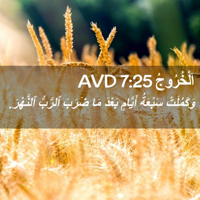 Picture 02 - اَلْخُرُوجُ 7:25 AVD - وَكَمُلَتْ سَبْعَةُ - Bible Verse Picture