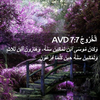 Picture 02 - اَلْخُرُوجُ 7:7 AVD - وَكَانَ مُوسَى ٱبْنَ - Bible Verse Picture