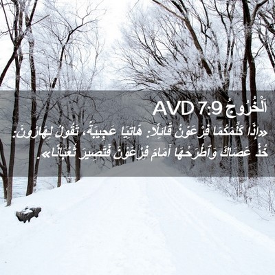 Picture 02 - اَلْخُرُوجُ 7:9 AVD - «إِذَا كَلَّمَكُمَا - Bible Verse Picture