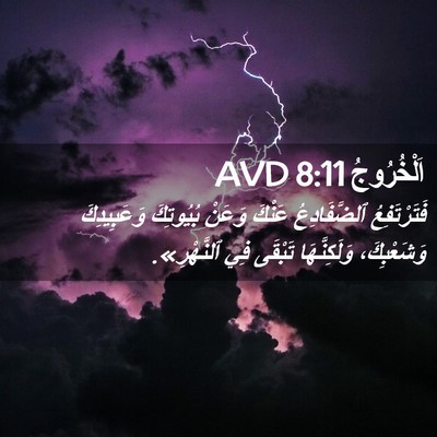 Picture 02 - اَلْخُرُوجُ 8:11 AVD - فَتَرْتَفِعُ ٱلضَّفَادِعُ - Bible Verse Picture