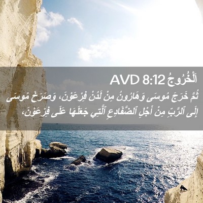 Picture 02 - اَلْخُرُوجُ 8:12 AVD - ثُمَّ خَرَجَ مُوسَى - Bible Verse Picture