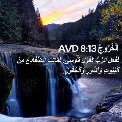 Picture 02 - اَلْخُرُوجُ 8:13 AVD - فَفَعَلَ ٱلرَّبُّ - Bible Verse Picture