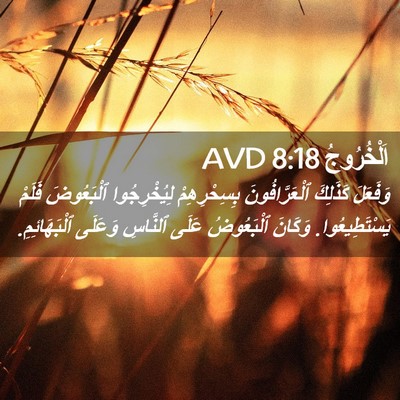 Picture 02 - اَلْخُرُوجُ 8:18 AVD - وَفَعَلَ كَذَلِكَ - Bible Verse Picture