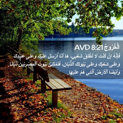 Picture 02 - اَلْخُرُوجُ 8:21 AVD - فَإِنَّهُ إِنْ كُنْتَ لَا - Bible Verse Picture