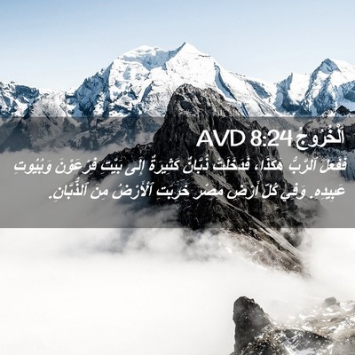 Picture 02 - اَلْخُرُوجُ 8:24 AVD - فَفَعَلَ ٱلرَّبُّ - Bible Verse Picture
