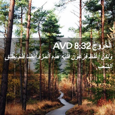 Picture 02 - اَلْخُرُوجُ 8:32 AVD - وَلَكِنْ أَغْلَظَ - Bible Verse Picture