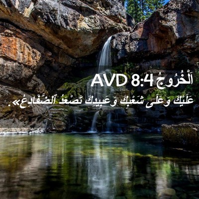 Picture 02 - اَلْخُرُوجُ 8:4 AVD - عَلَيْكَ وَعَلَى شَعْبِكَ - Bible Verse Picture