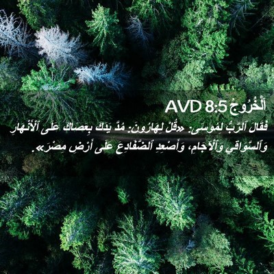 Picture 02 - اَلْخُرُوجُ 8:5 AVD - فَقَالَ ٱلرَّبُّ لِمُوسَى: - Bible Verse Picture