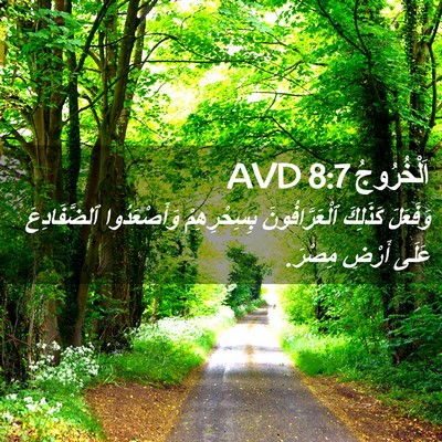 Picture 02 - اَلْخُرُوجُ 8:7 AVD - وَفَعَلَ كَذَلِكَ - Bible Verse Picture