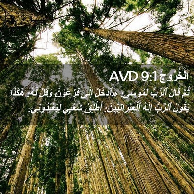 Picture 02 - اَلْخُرُوجُ 9:1 AVD - ثُمَّ قَالَ ٱلرَّبُّ - Bible Verse Picture