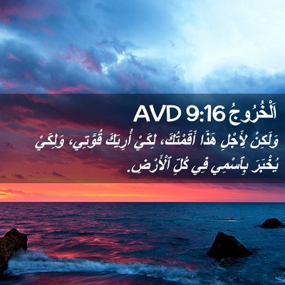 Picture 02 - اَلْخُرُوجُ 9:16 AVD - وَلَكِنْ لِأَجْلِ هَذَا - Bible Verse Picture