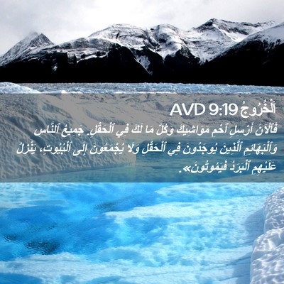 Picture 02 - اَلْخُرُوجُ 9:19 AVD - فَٱلْآنَ أَرْسِلِ ٱحْمِ - Bible Verse Picture