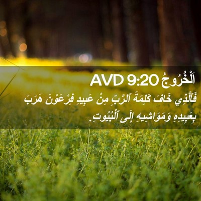 Picture 02 - اَلْخُرُوجُ 9:20 AVD - فَٱلَّذِي خَافَ كَلِمَةَ - Bible Verse Picture