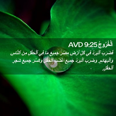 Picture 02 - اَلْخُرُوجُ 9:25 AVD - فَضَرَبَ ٱلْبَرَدُ فِي - Bible Verse Picture