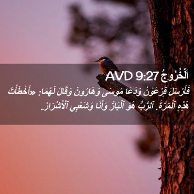Picture 02 - اَلْخُرُوجُ 9:27 AVD - فَأَرْسَلَ فِرْعَوْنُ - Bible Verse Picture