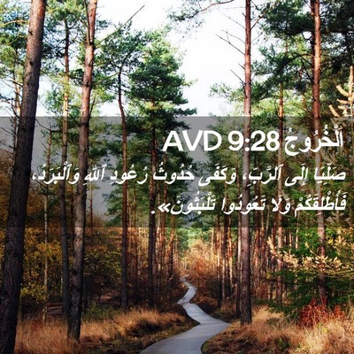 Picture 02 - اَلْخُرُوجُ 9:28 AVD - صَلِّيَا إِلَى ٱلرَّبِّ، - Bible Verse Picture
