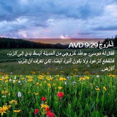 Picture 02 - اَلْخُرُوجُ 9:29 AVD - فَقَالَ لَهُ مُوسَى: - Bible Verse Picture